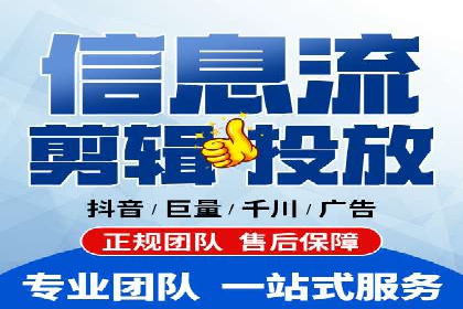 大型SEM服务公司案例分析